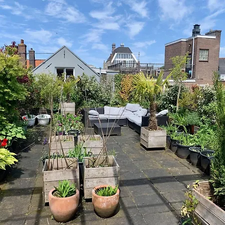 Falckloft * Amsterdam
